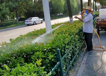 病虫害防治